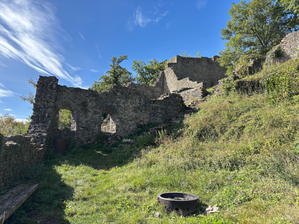 Ruine Schenkenberg