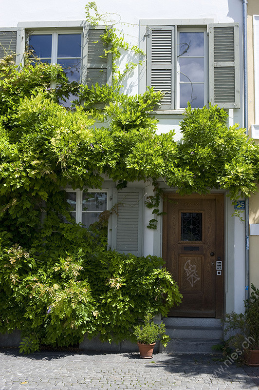 Fassade mit Pflanzenbewuchs