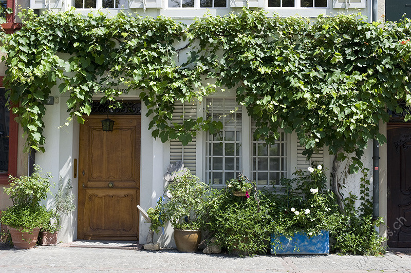 Face of a building with plants