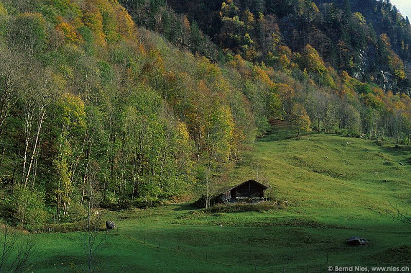 Sernf Valley