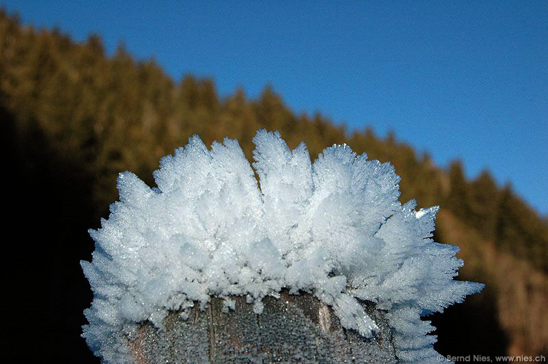 Ice crystals