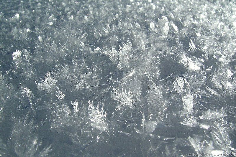 Snow Crystals