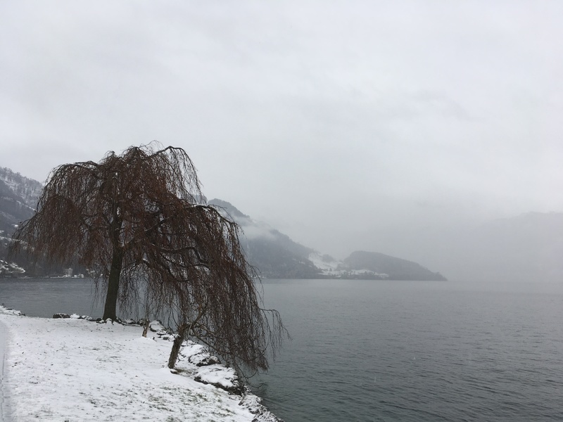 Lake Lucerne © Bernd Nies