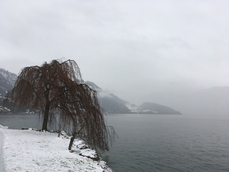 Lake Lucerne