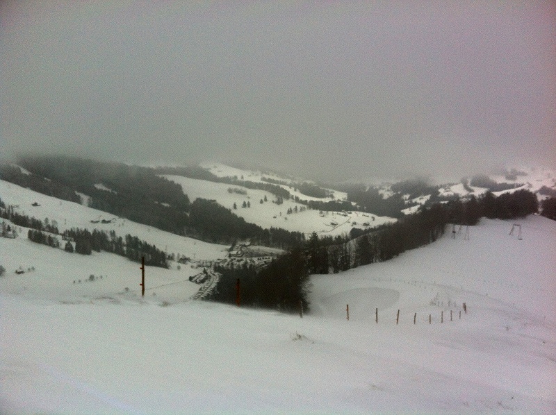 Schnee im Nebel