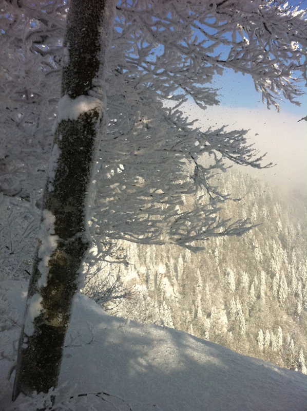 Showshoe Hiking Atzmännig