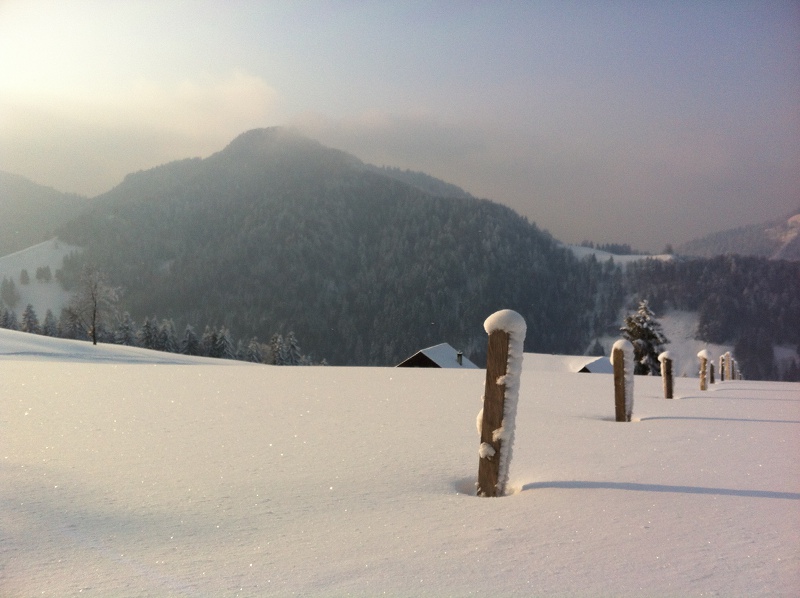 Showshoe Hiking Atzmännig