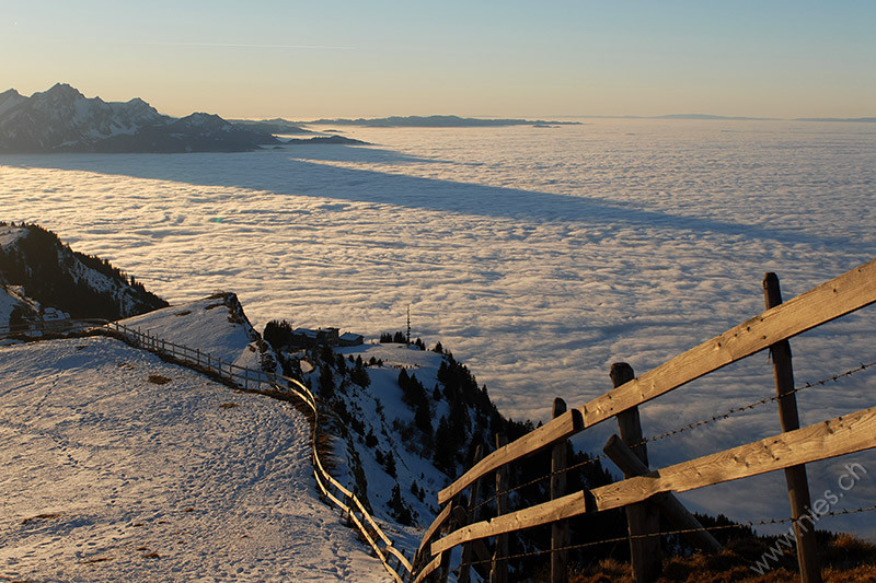 Rigi Nebelmeer und Sonnenuntergang