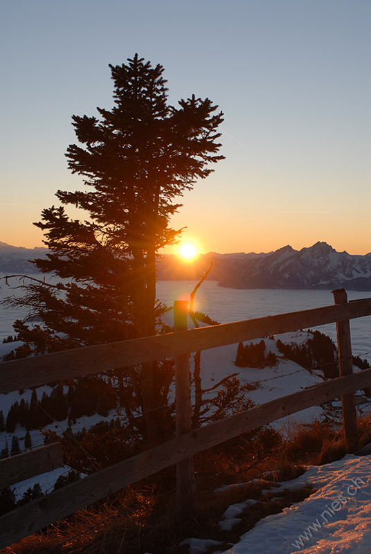 Rigi Fogsea and Sunset