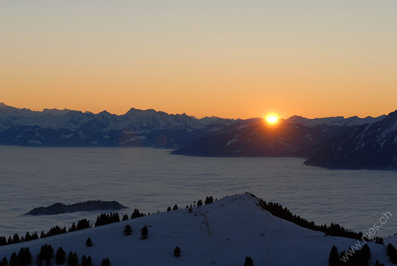 Rigi Nebelmeer und Sonnenuntergang