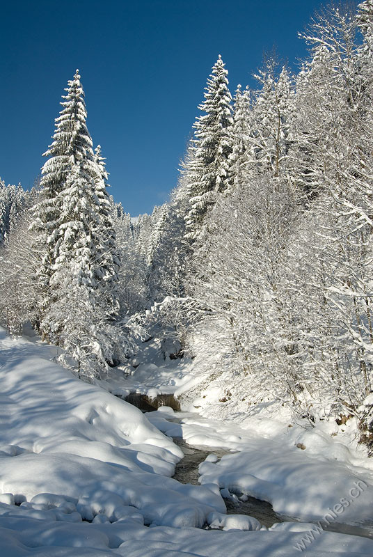 Oberiberg