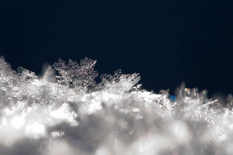 Snow Crystals © Bernd Nies