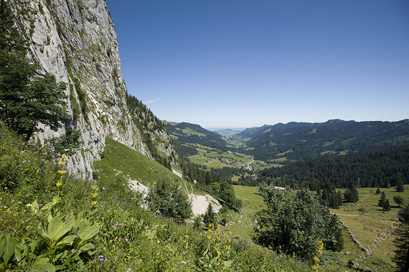 Alptal