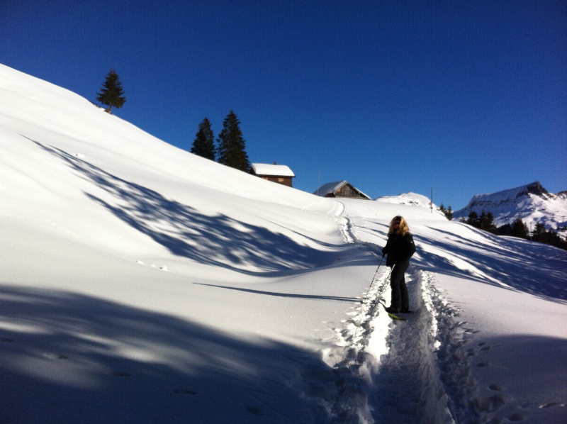 Snowshoe Hiking