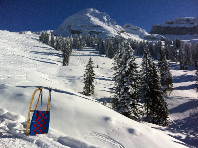 Sledding Druesberg Hut