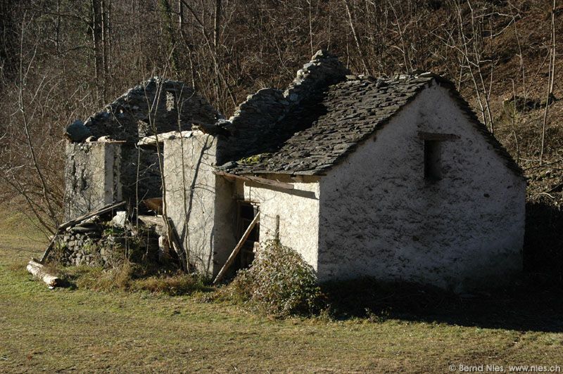 Hut Ruin