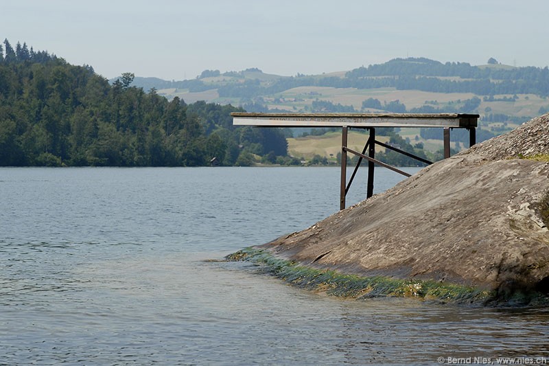 Sprungbrett Zugersee