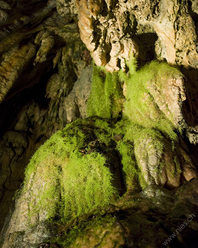 Höllgrotten Cave