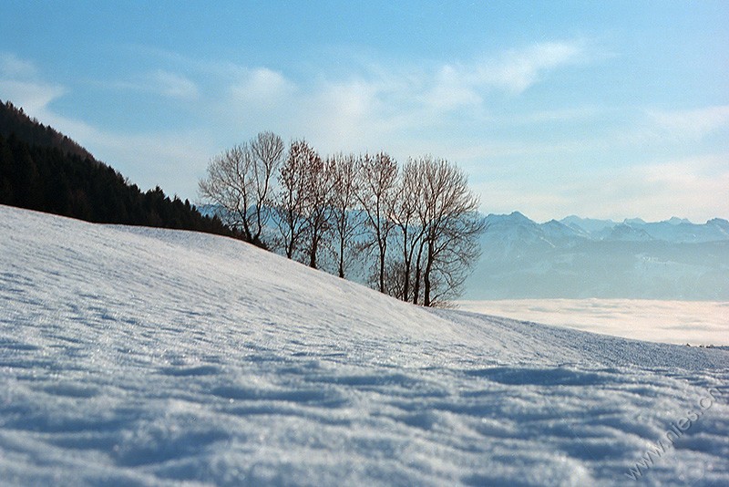 Bachtel im Winter