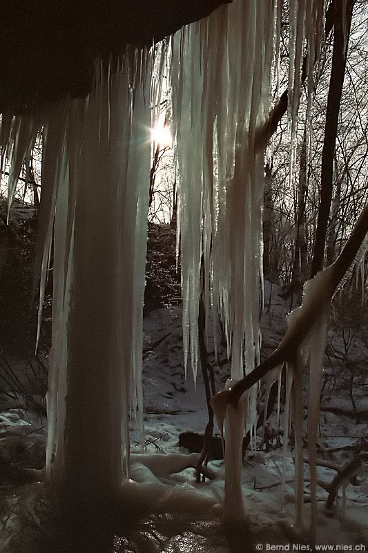 Icicles