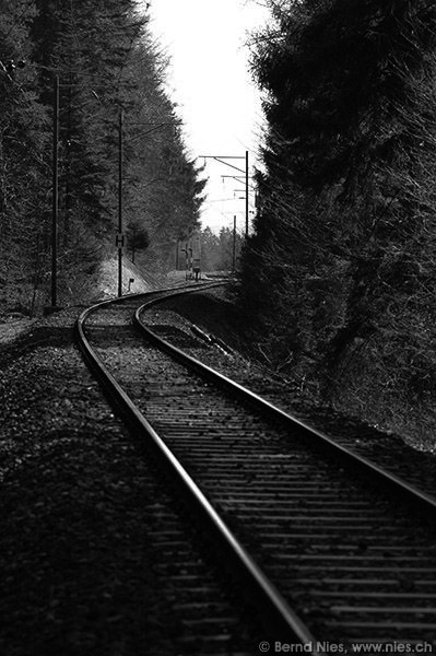 Tracks © Bernd Nies