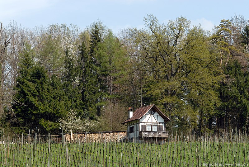 House in Vineyard © Bernd Nies