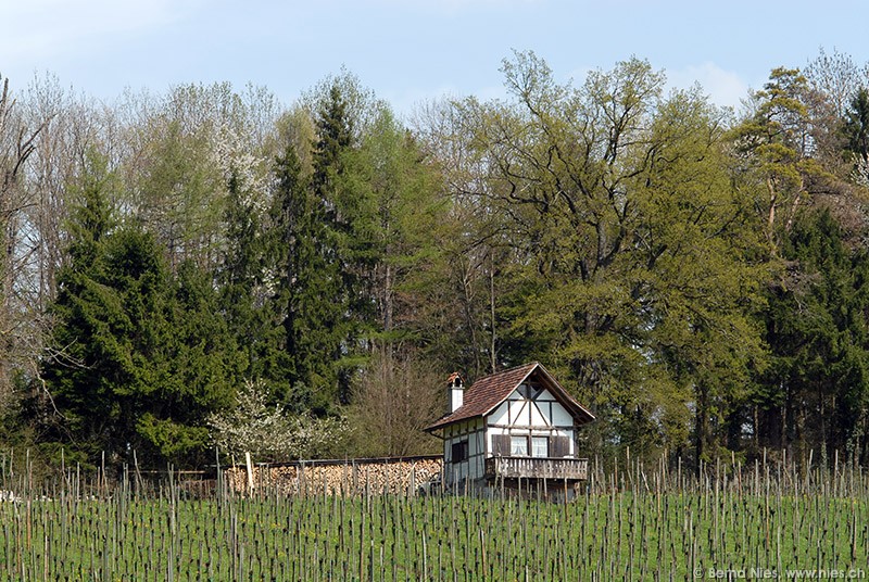 Haus im Rebberg