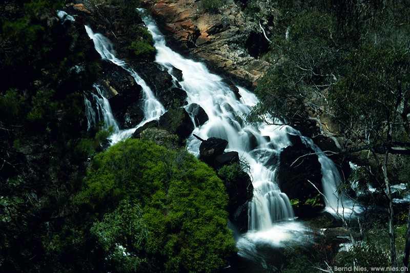 McKenzie Falls