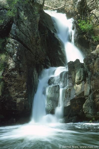 McKenzie Falls