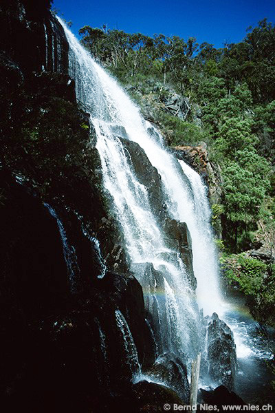 McKenzie Wasserfälle