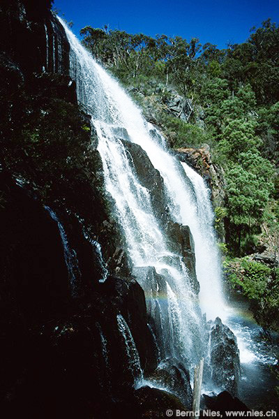 McKenzie Falls