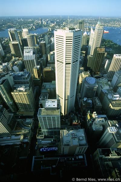 Sydney Sky Scrapers