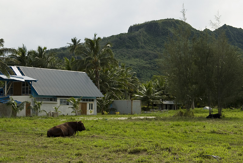 House with Cow