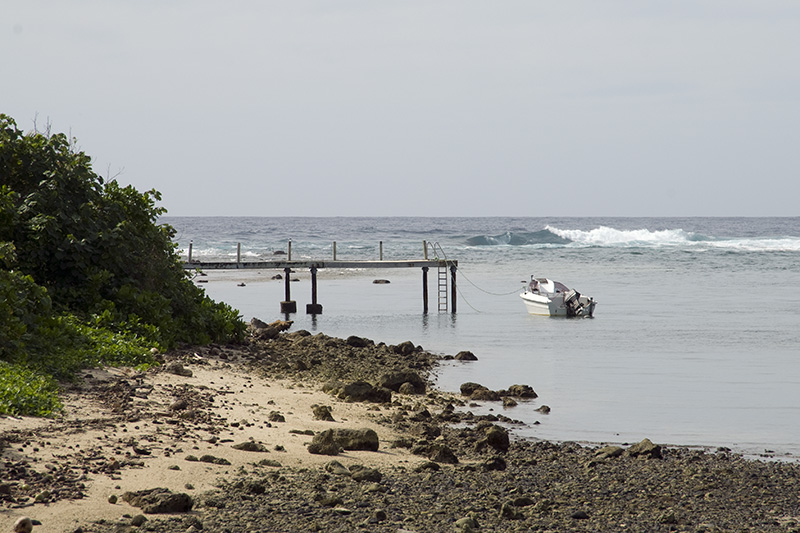 Jetty