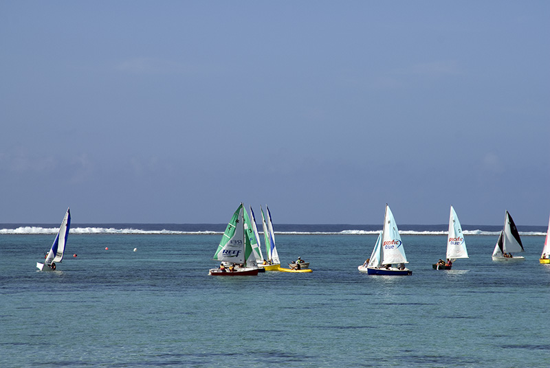 Sail Boats