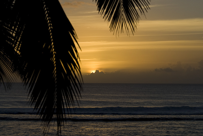 Sonnenuntergang mit Palmen