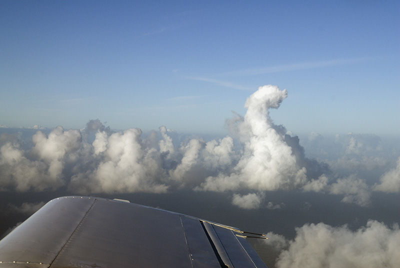 Seahorse Cloud