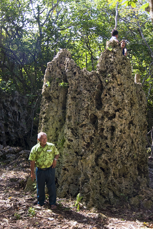 Hollow Coral Rock