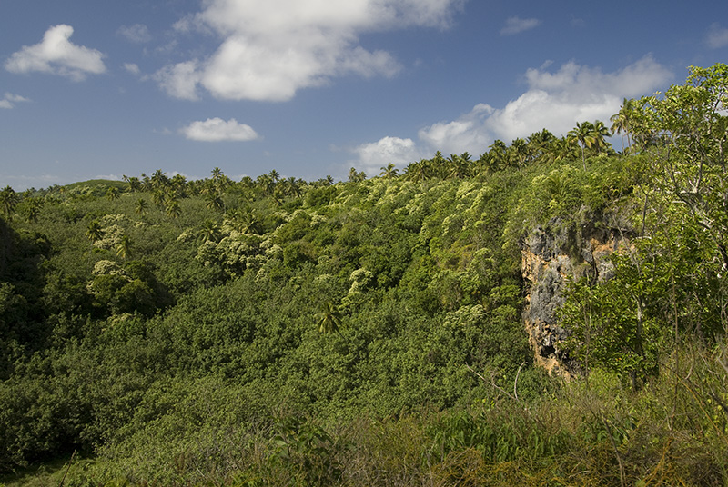 Felsen