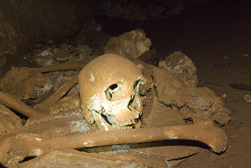 Skull