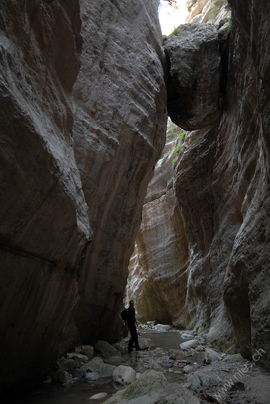 Avagas Schlucht 2