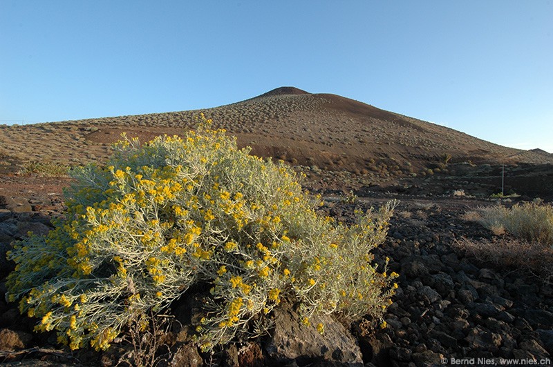 Volcanic Cone