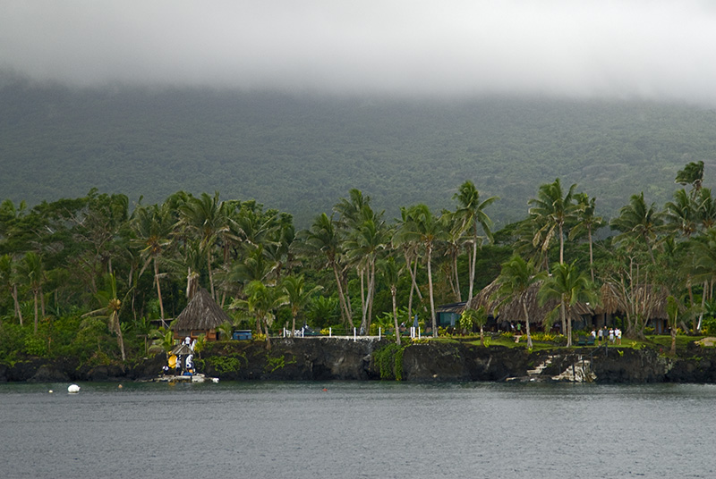 Palm Island