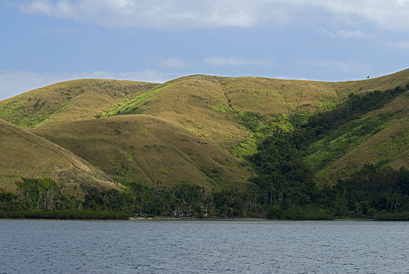 Grünere Insel