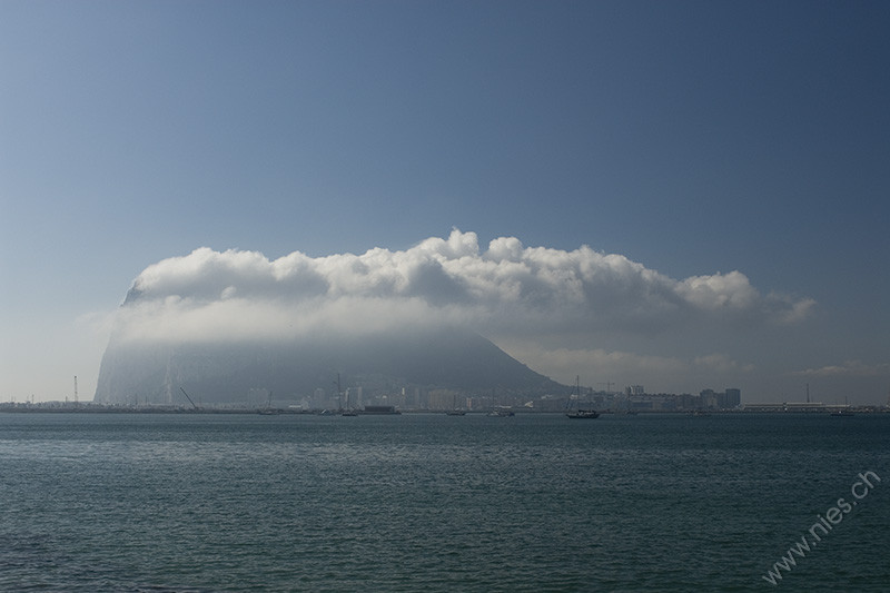 Monkey Rock in the Mist