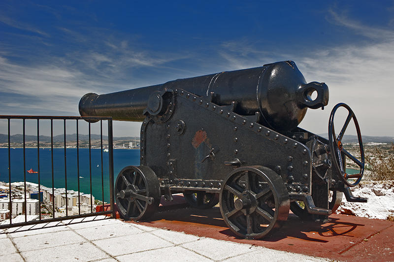 Cannon