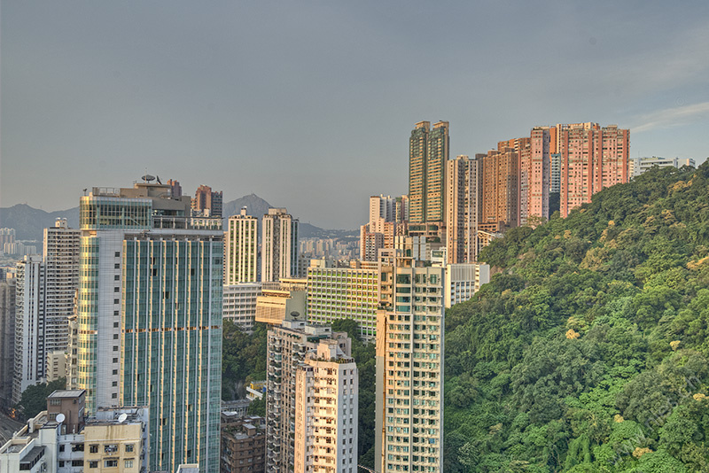 Skyscrapers in the evening sun