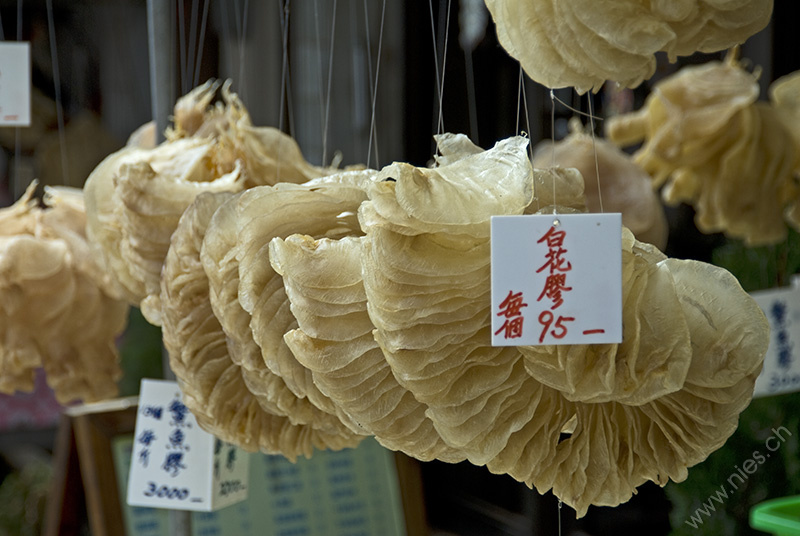 Dried Fish Bladders