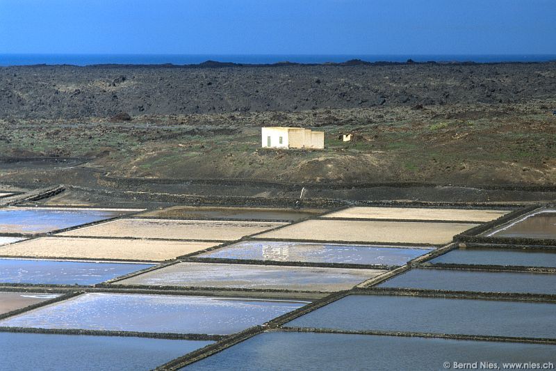 Salinas de Janubio