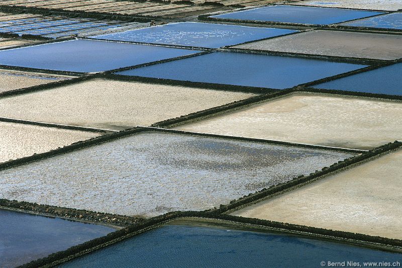 Salinas de Janubio